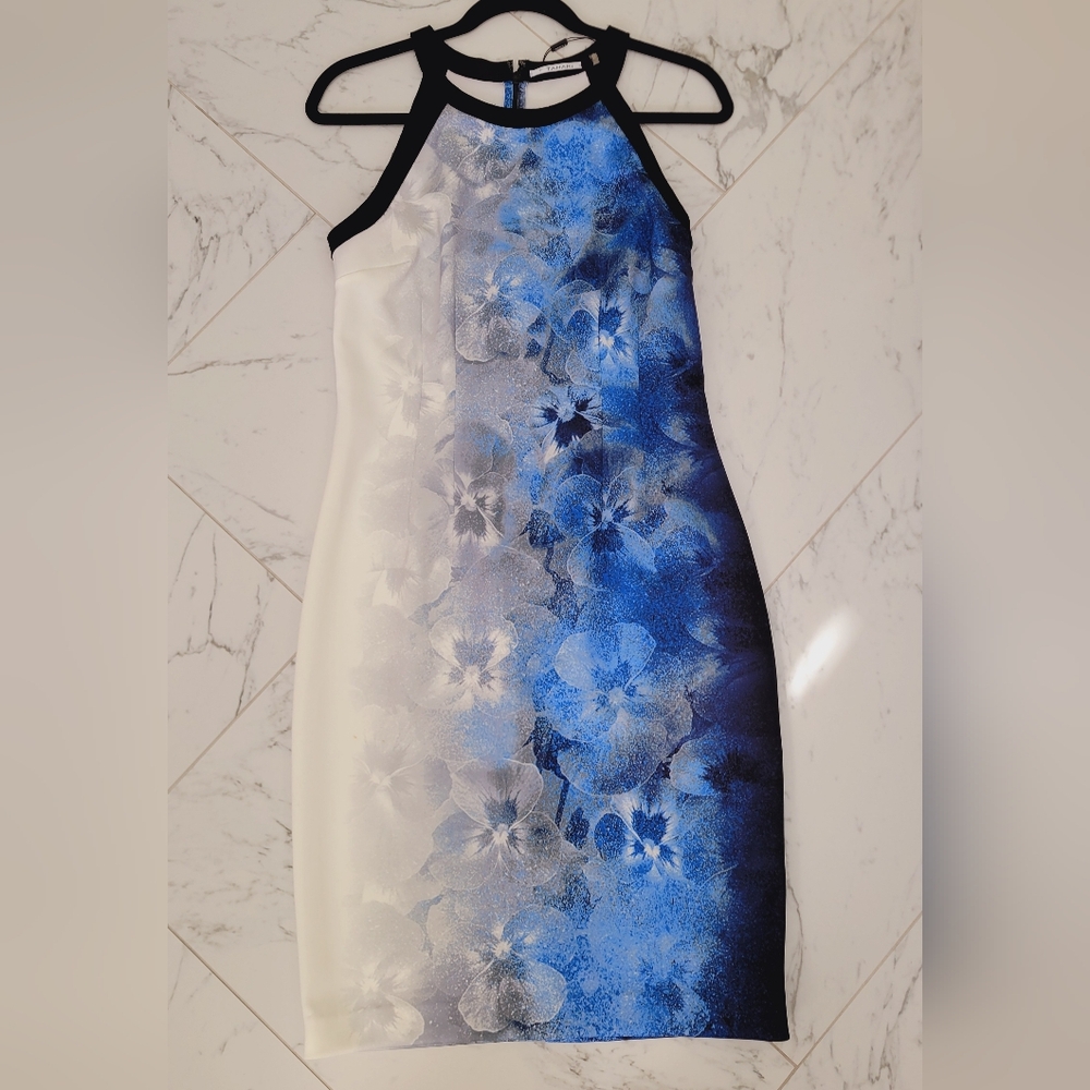 NWT: T Tahari Floral Blue and White Dress